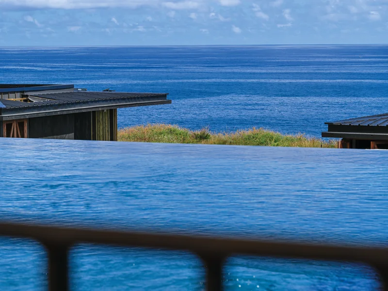 Toiture végétalisée du Wood Hotel & Spa, intégration écologique dans la savane réunionnaise