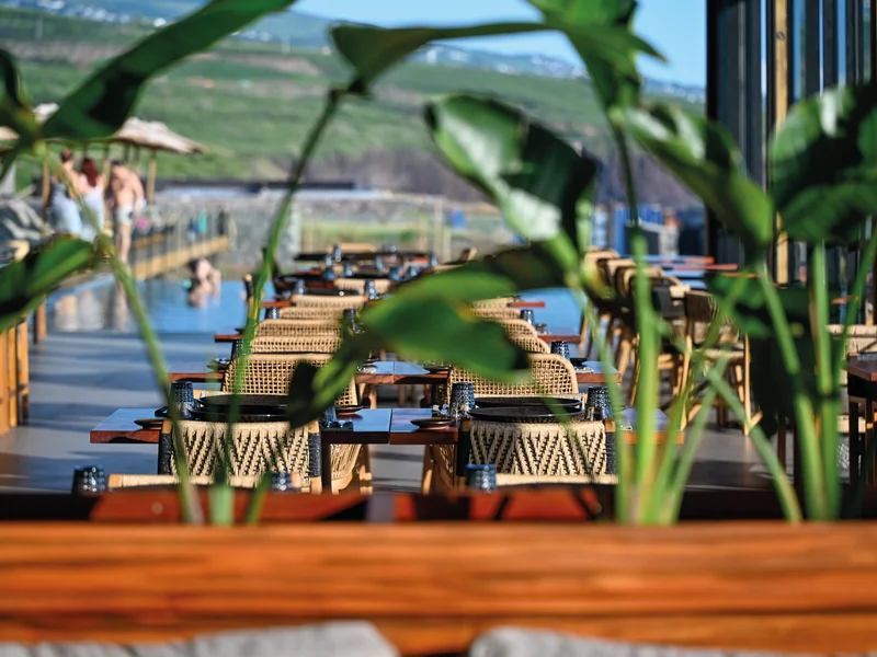 L'Atelier du vin au Wood Hotel, un espace cosy pour la dégustation œnologique