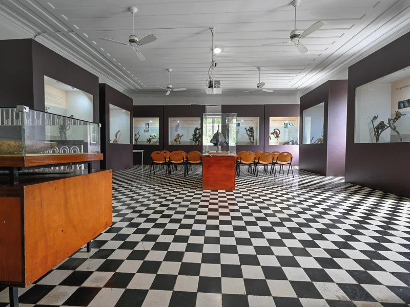 Vue intérieure du musée