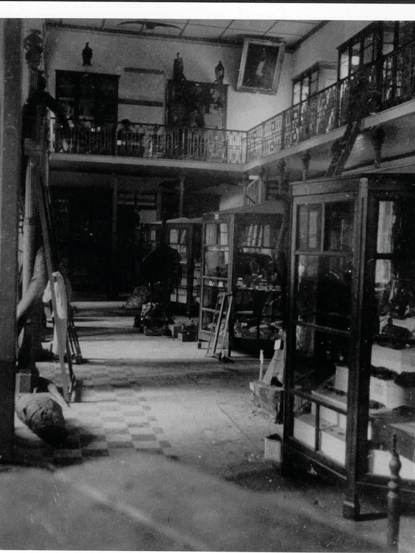 Intérieur majestueux du Muséum