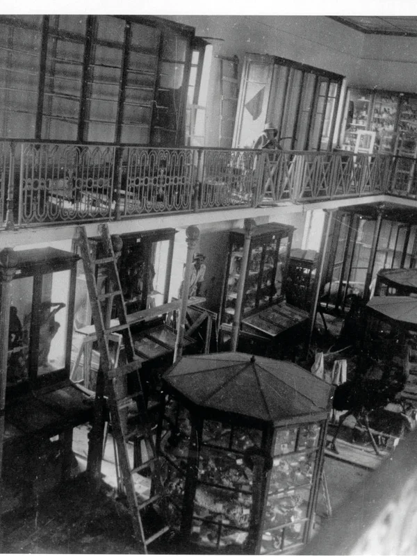 Intérieur majestueux du Muséum, avec sa mezzanine en fonte d'art et ses colonnades.