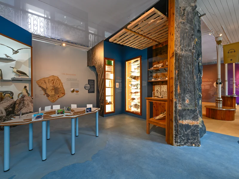 Anciens instruments astronomiques et cartes de l'expédition Vénus exposés au Muséum.