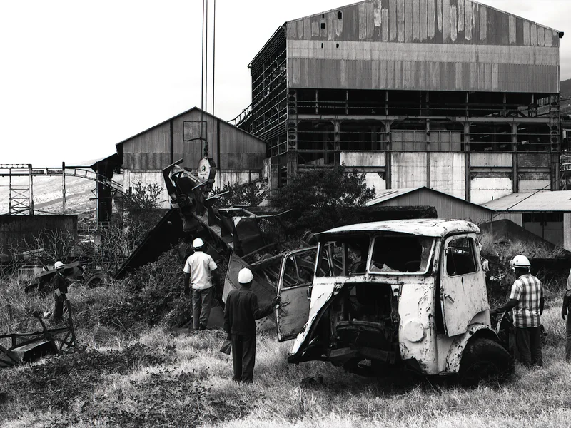 Champ de canne à sucre luxuriant à La Réunion, évoquant l'histoire de Stella Matutina