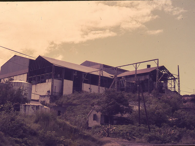 Scène de vie quotidienne à la boutique chinoise d'une ancienne sucrerie
