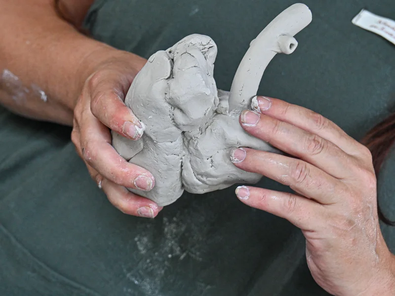 Alice Aucuit céramiste travaillant la terre avec concentration, ses mains façonnant l'argile sur un tour de potier.