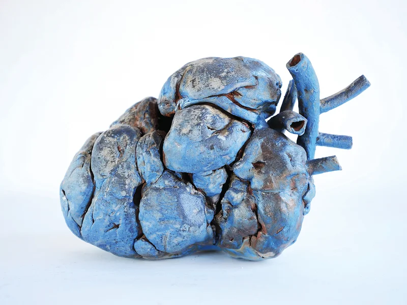 Paysage emblématique de La Réunion avec le Piton de la Fournaise et une végétation luxuriante, source d'inspiration pour l'artiste.