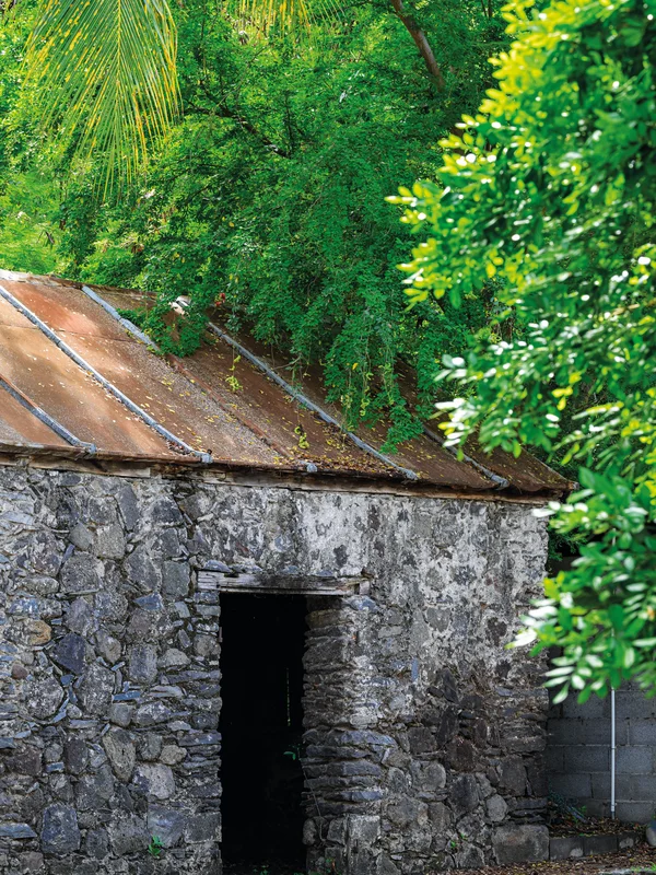 Intérieur du salon du Domaine de La Grande Fontaine, décoration tropicale et bois noble