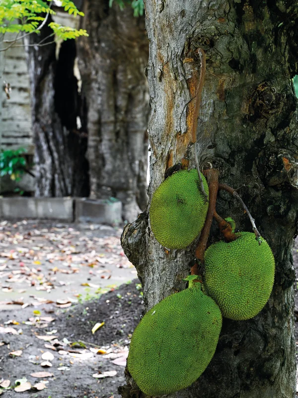 Salle à manger lumineuse du Domaine de La Grande Fontaine avec vue sur la fontaine